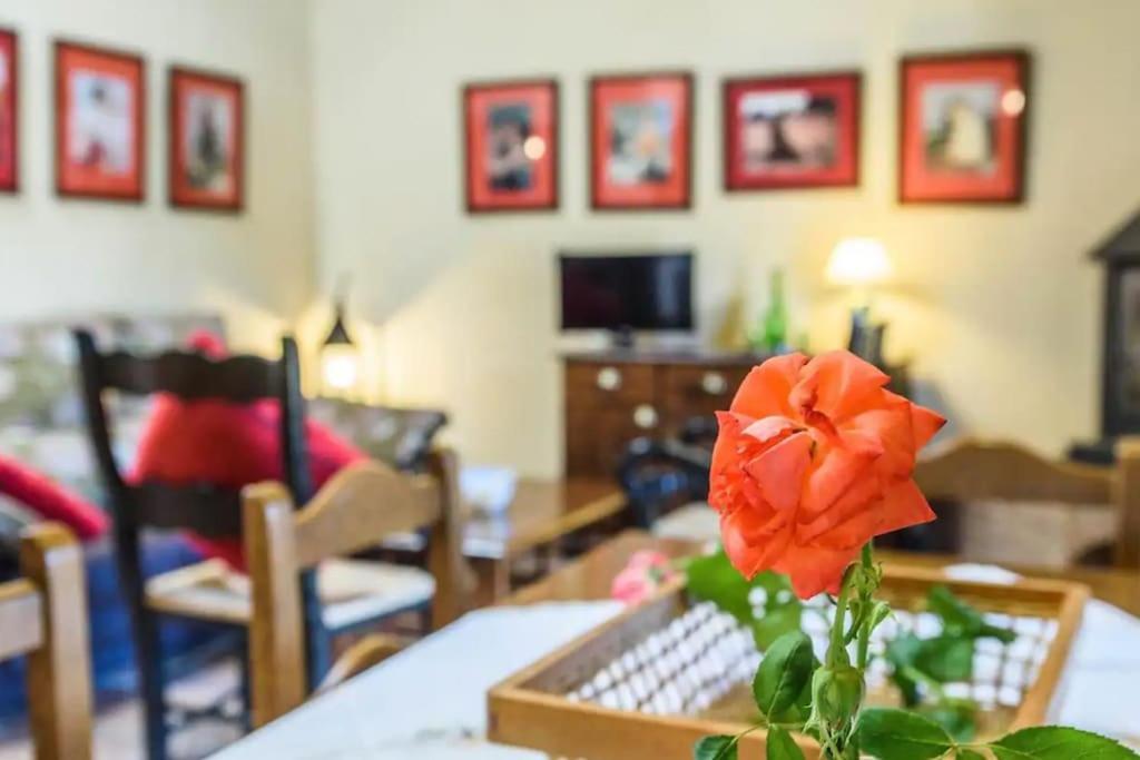 Casa Cortijo En Dehesa Sierra Leon Villa ลา ปัวบลา เด ลอส อินฟานเตส ภายนอก รูปภาพ